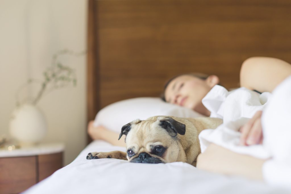 Increase your REM sleep by following these checklist items.