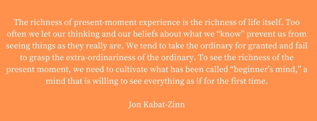 Beginners Mind-Jon Kabat Zinn 9 attitudes