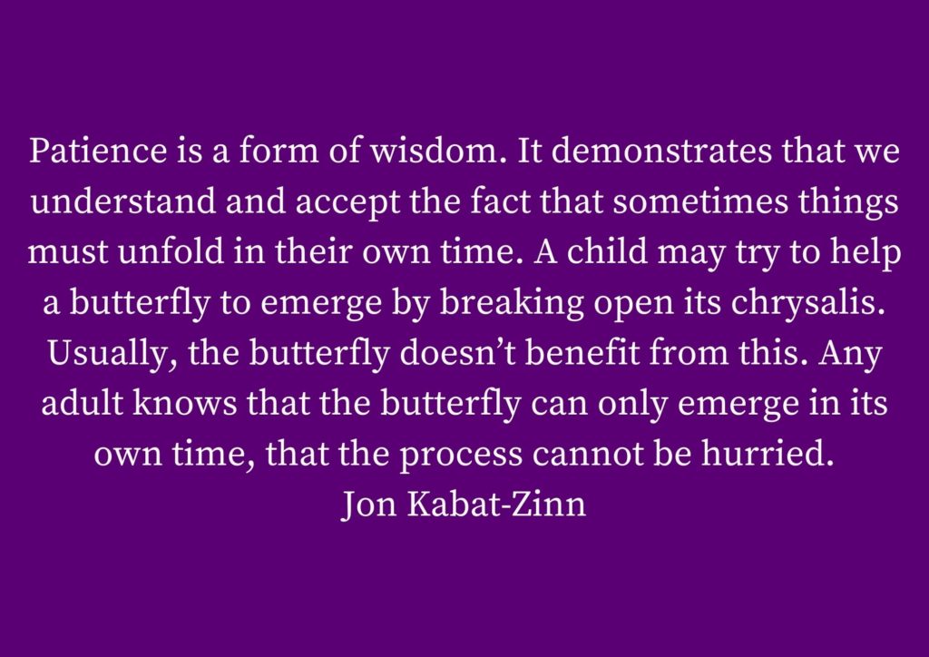 Patience-Jon Kabat Zinn 9 attitudes