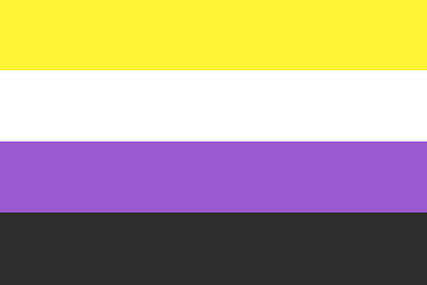 Enby Flag Binary Pride Flag Meaning Evolve 