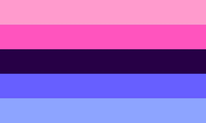 Omni Flag & Omnisexuality Flag Meaning