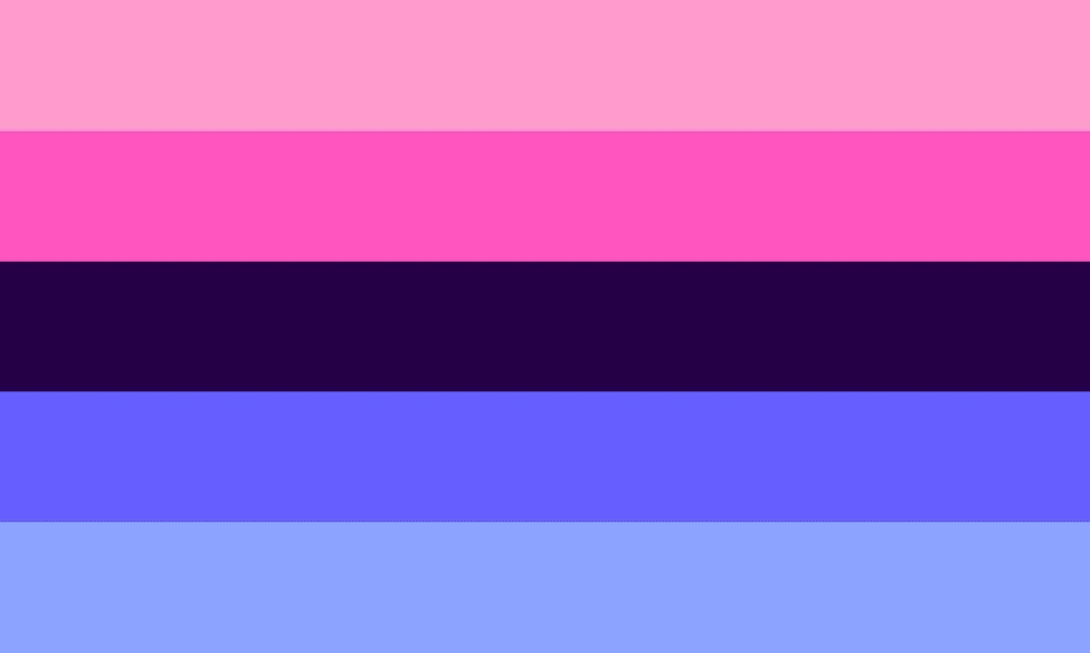 Omni Flag & Omnisexuality Flag Meaning
