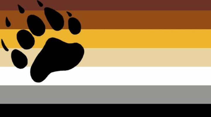 Bear Pride: What Does it Mean & Its Flag