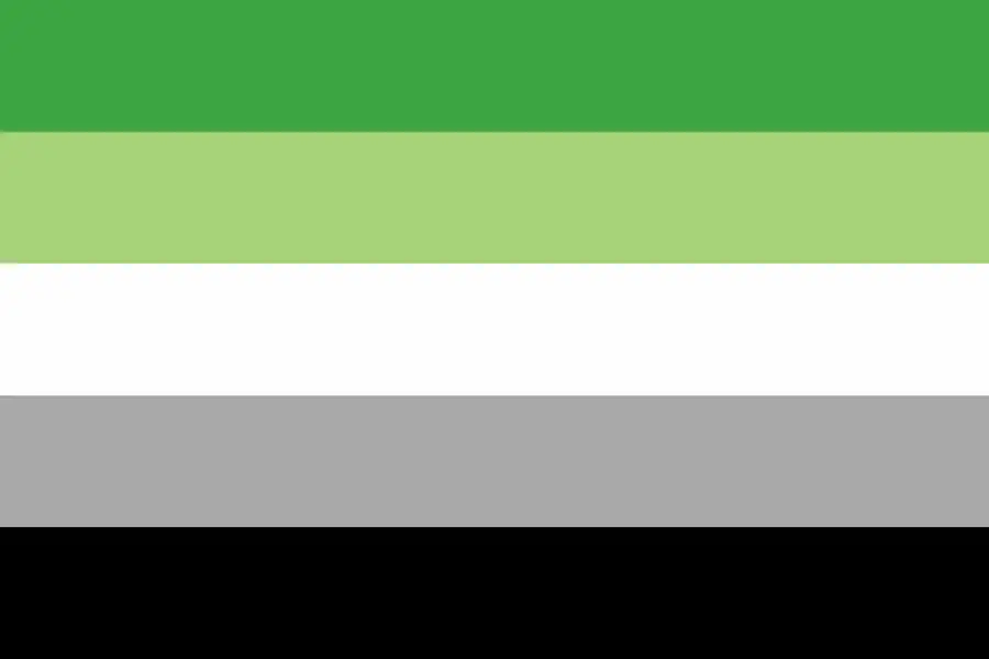 Aromantic Flag – All You Need To Know